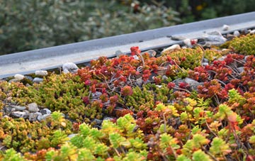the cost of Shoreham By Sea green roof installation