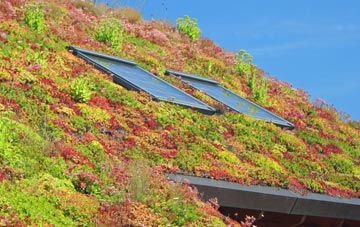 Shoreham By Sea living roof systems