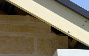 soffit repair Shoreham By Sea